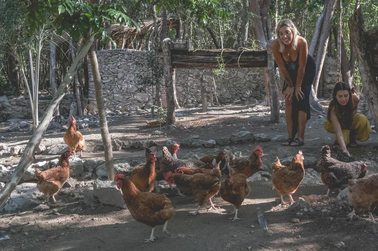 Wakax Hacienda - Cenote & Boutique Hotel トゥルム エクステリア 写真