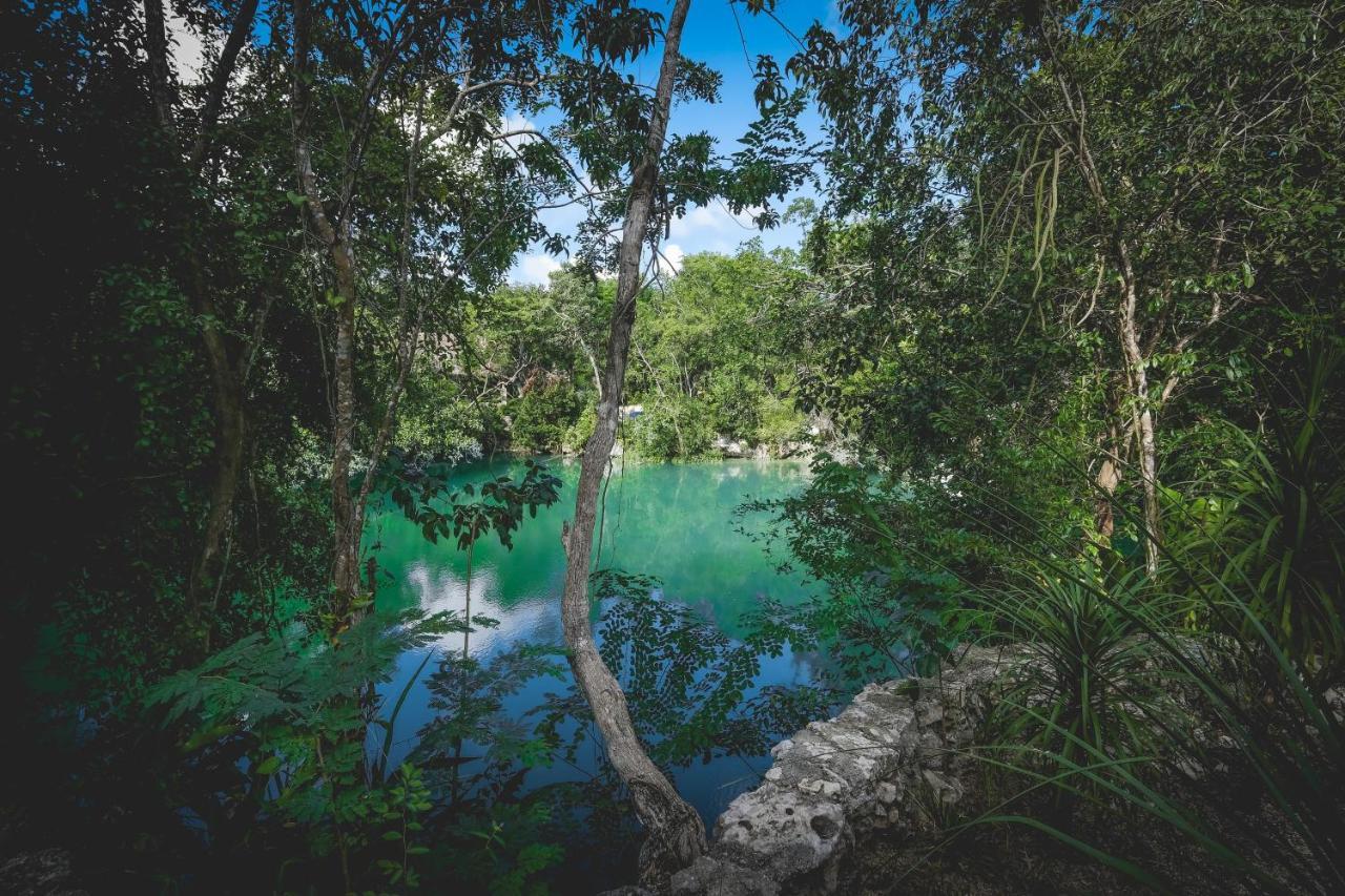 Wakax Hacienda - Cenote & Boutique Hotel トゥルム エクステリア 写真