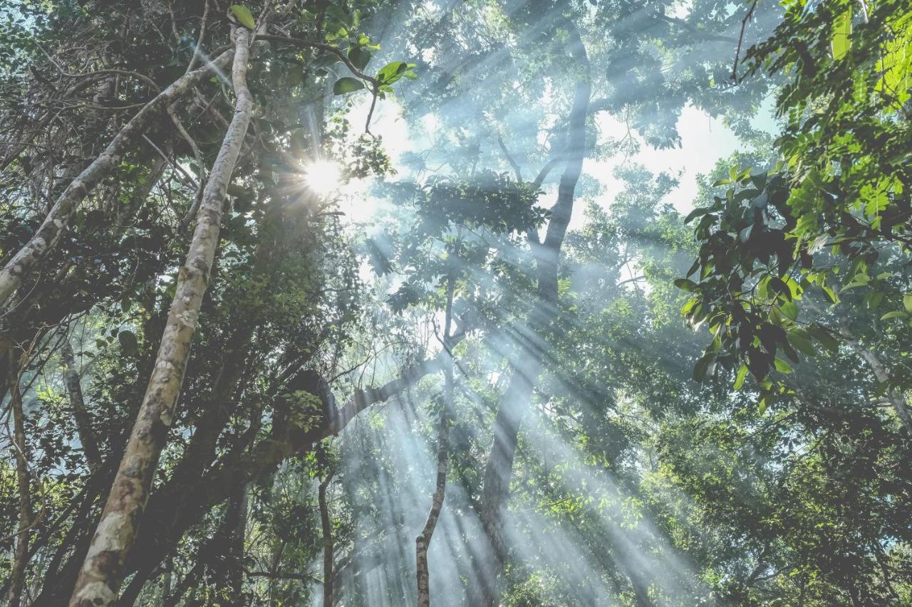 Wakax Hacienda - Cenote & Boutique Hotel トゥルム エクステリア 写真