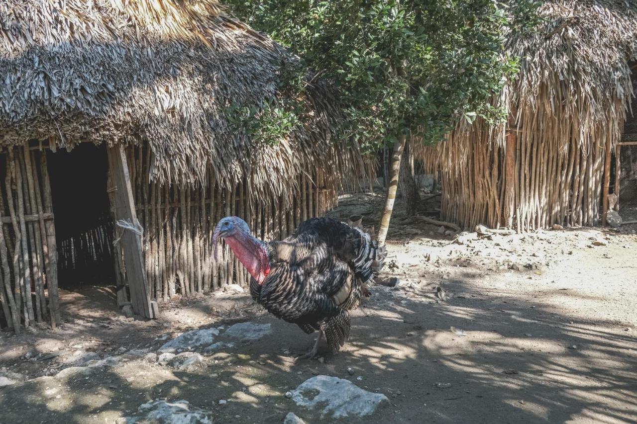 Wakax Hacienda - Cenote & Boutique Hotel トゥルム エクステリア 写真